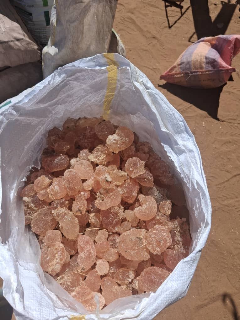 Chadian gum arabic bagged for export